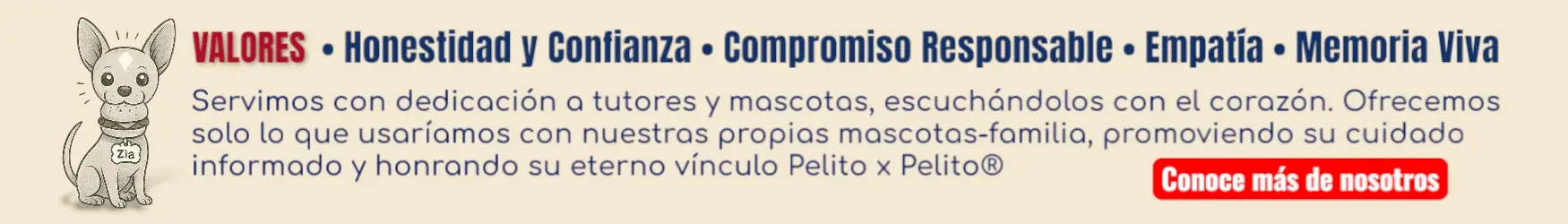 Banner donde Zía nos muestra los Valores de KaLuZí: Honestidad y Confianza: Solo ofrecemos lo que usaríamos con quienes más amamos, contribuyendo al bienestar de las mascotas mexicanas. Compromiso Responsable: Servimos con dedicación al tutor y su mascota, promoviendo un cuidado informado y consciente como base para el bienestar animal. Empatía: Escuchamos con el corazón, entendiendo que cada vínculo entre mascota y tutor es una historia única. Memoria Viva: Honramos cada historia vivida junto a una mascota, porque los vínculos que nos unen con ellos nos hacen mejores seres humanos.