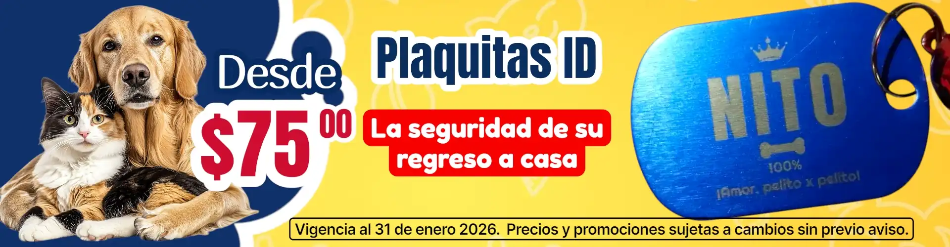 Descripción imagen 4