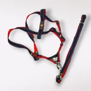 Arnés Mezclilla con Correa chico