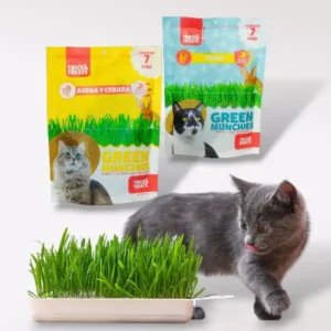Green Munchies. Pasto para gato y otras especies 50g. (trigo/avena y cebada)