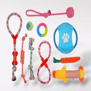 Set Pack 10 juguetes surtidos para perro/gato