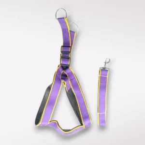 Arnés acojinado con correa│razas grandes│