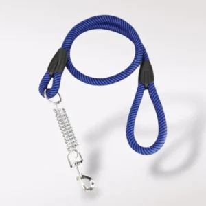 Correa de amortiguación con resorte