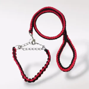 Correa con Collar antijalones razas medianas a grandes