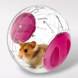 Esfera para Hámster | Grande | Sunny Pets