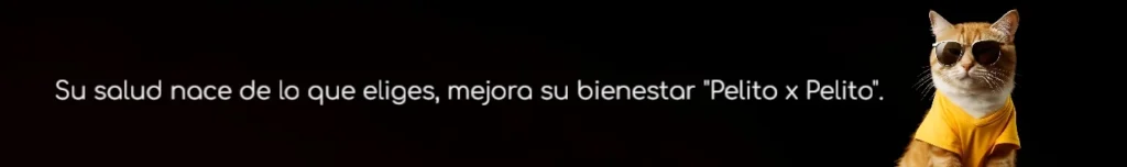 Imagen de un gato cool, sano y feliz por elegir lo mejor en KaLuZí.