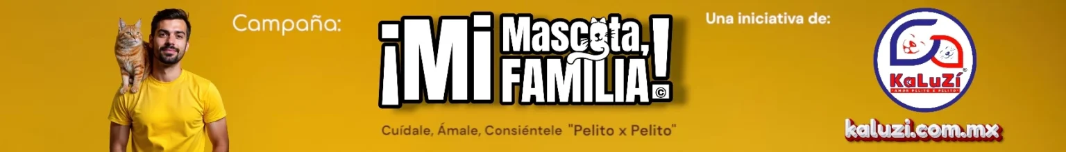 Imagen de cabecera KaLuZÍ para la campaña Mi Mascota, Mi Familia, que celebra a las mascotas como parte de la familia y promueve el bienestar animal. Fotografía de una persona feliz con su gato sobre el hombro.