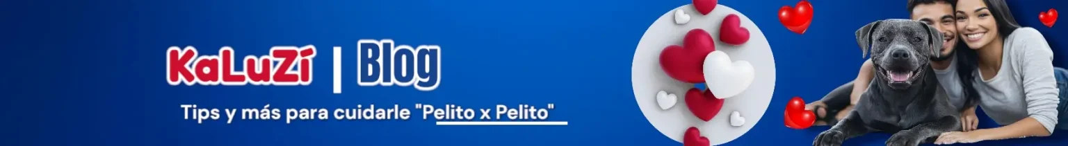 Aquí en KaLuZí | Blog te damos información importante para cuidar, consentir y entender a tu mascota Pelito x Pelito.