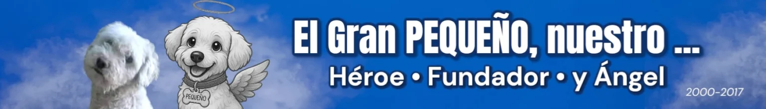 Banner homenaje a Pequeño, el perrito fundador de KaLuZÍ, representado como ángel en el cielo, símbolo de amor eterno y familia.