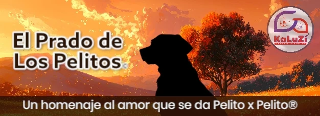 Miniatura enlazada al cuento “El Prado de los Pelitos”: un homenaje al amor que se da Pelito x Pelito®. Muestra la silueta de un perrito frente a un árbol bajo un atardecer cálido en tonos rosados. Imagen original de Jesús Esquivel.