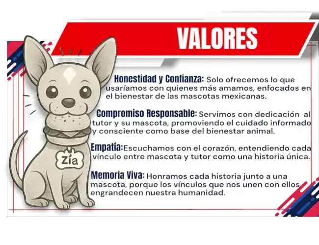 Banner donde Zía nos muestra los Valores de KaLuZí: Honestidad y Confianza: Solo ofrecemos lo que usaríamos con quienes más amamos, contribuyendo al bienestar de las mascotas mexicanas. Compromiso Responsable: Servimos con dedicación al tutor y su mascota, promoviendo un cuidado informado y consciente como base para el bienestar animal. Empatía: Escuchamos con el corazón, entendiendo que cada vínculo entre mascota y tutor es una historia única. Memoria Viva: Honramos cada historia vivida junto a una mascota, porque los vínculos que nos unen con ellos nos hacen mejores seres humanos.