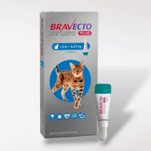 Bravecto Plus Pipeta Desparasitante Externo e Interno para Gato, 250 mg
