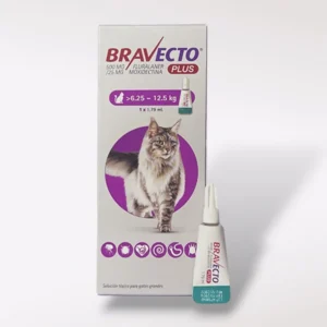 Bravecto Plus Pipeta Desparasitante Externa e Interna para Gato, 500mg