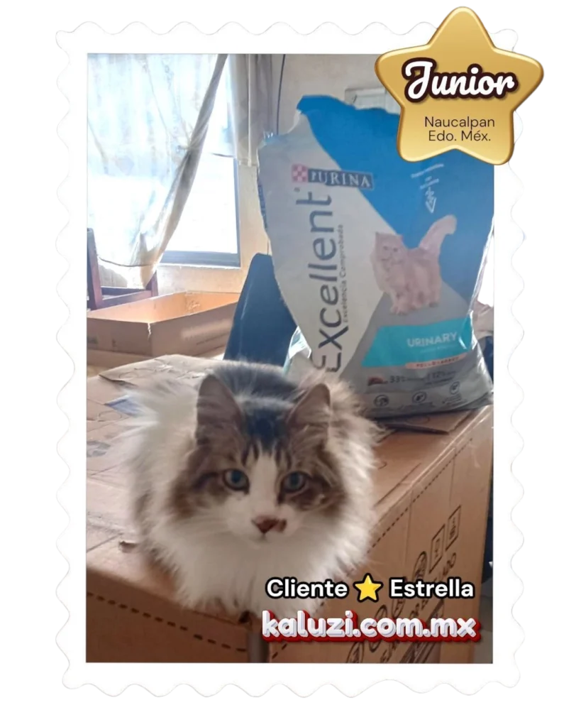 Junior-Cliente Estrella-Naucalpan edo. Méx.