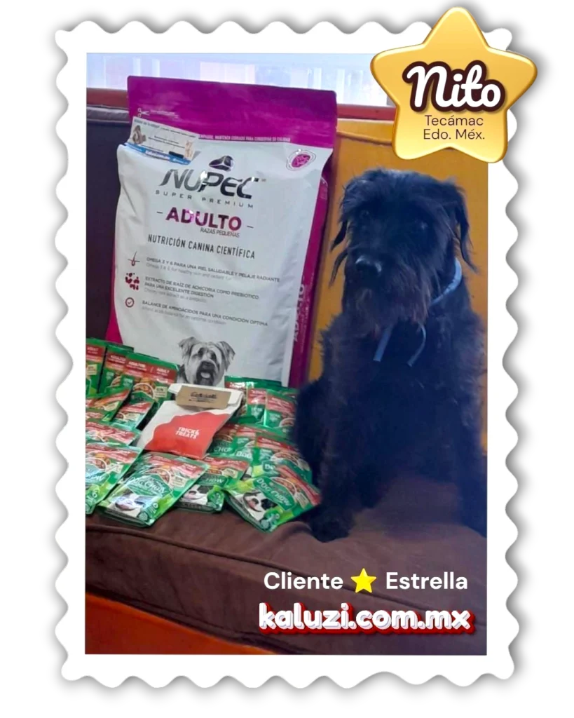 Despensita para Nito desde KaLuZí