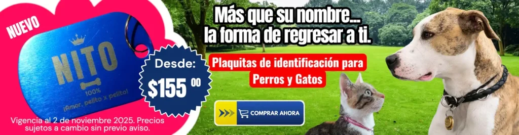 Plaquitas de Identidad disponible en KaLuZí desde $155.00 mxn, solo en noviembre 2025. Más que su nombre... la forma de regresar a ti. Cuídale Pelito x Pelito®