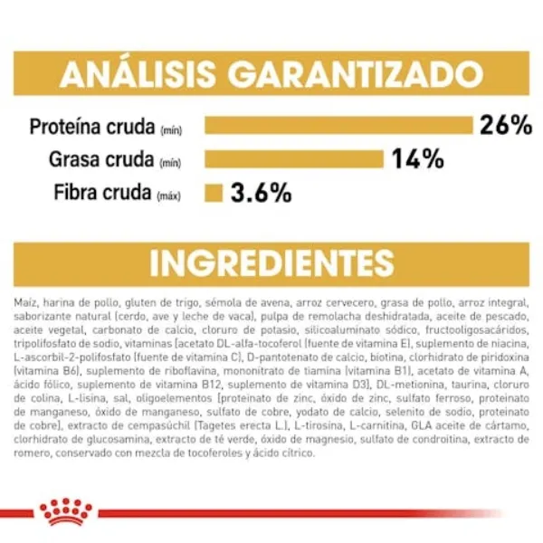 Royal Canin Chihuahua Adulto alimento seco para perro adulto de raza Chihuahua. Análisis Garantizado.