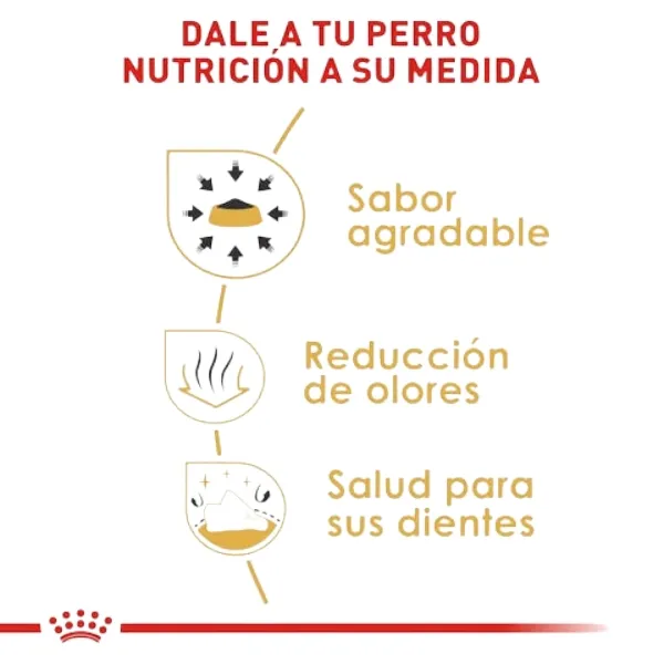 Royal Canin Chihuahua Adulto alimento seco para perro adulto de raza Chihuahua. Nutrición especializada