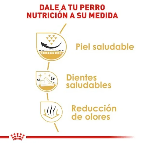 Royal Canin Shih Tzu Adulto alimento seco para perro adulto de raza Shih Tzu. Ntricion especializada.
