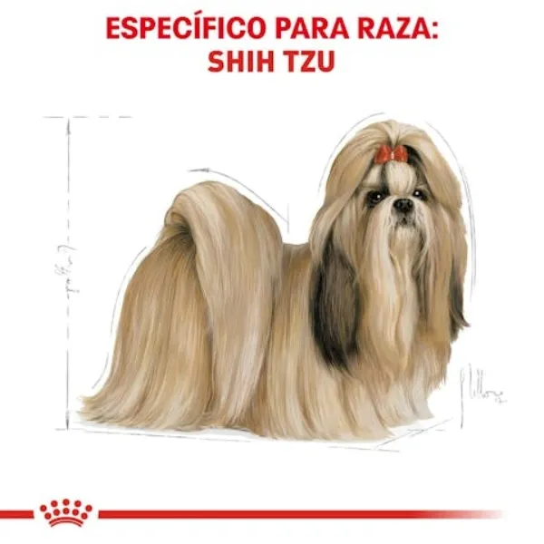 Royal Canin Shih Tzu Adulto alimento seco para perro adulto de raza Shih Tzu. Razas especifícas.