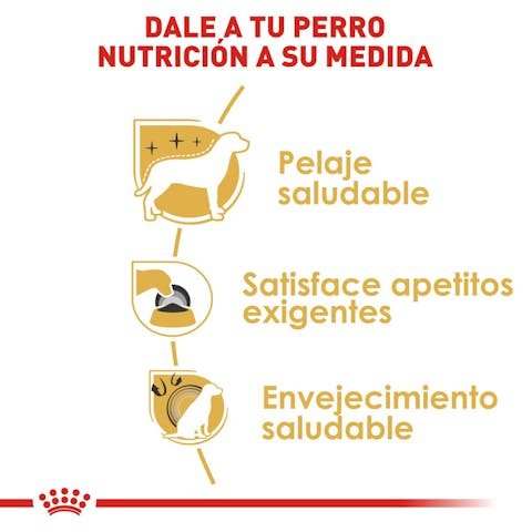 Royal Canin Nuricion especializada para Yorkshire Terrier Adulto.