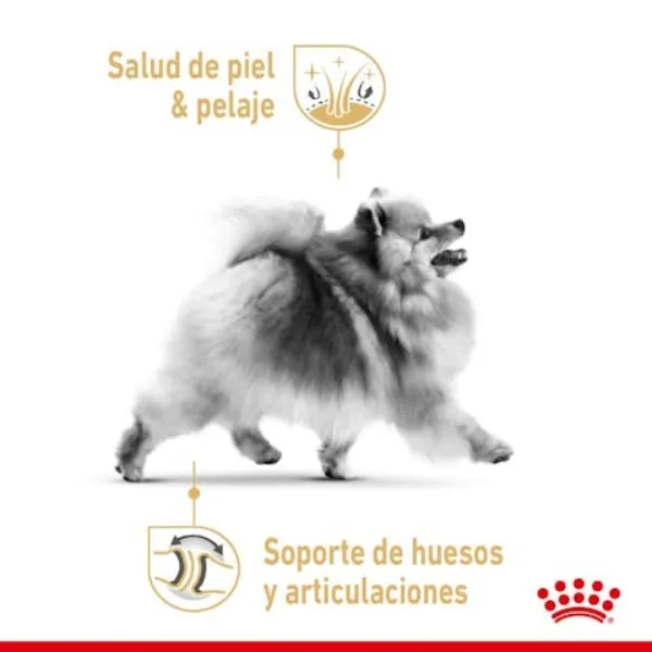 Royal Canin Pomerania Adulto alimento seco para perro adulto de raza Pomerania. Razas Específicas.
