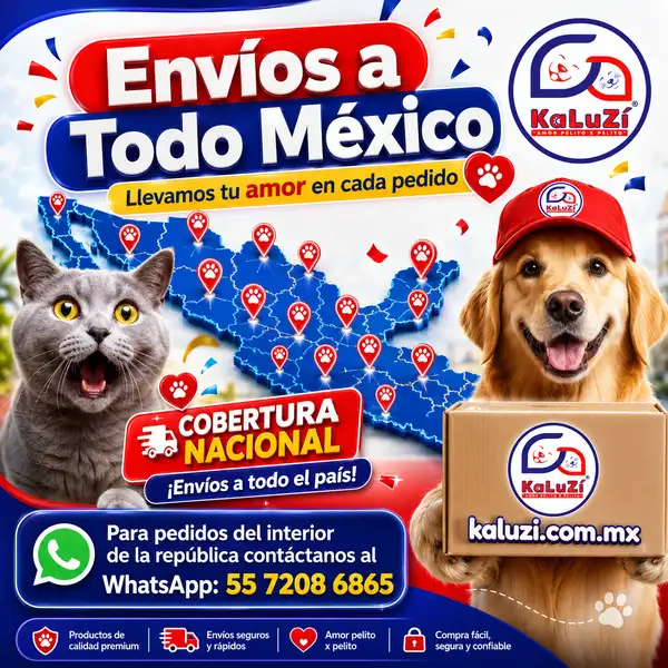 Banner promocional cuadrado de envíos a todo México