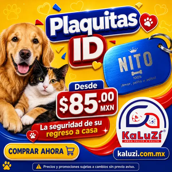 Banner cuadrado promocional de plaquitas de identificación para perros y gatos desde $85.00mxn
